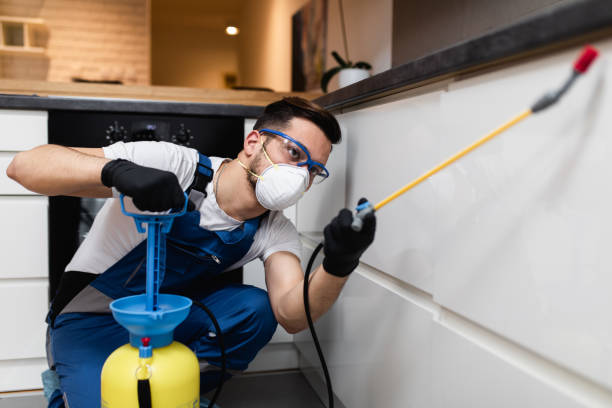 Best Emergency Pest Control  in Carrollton, VA