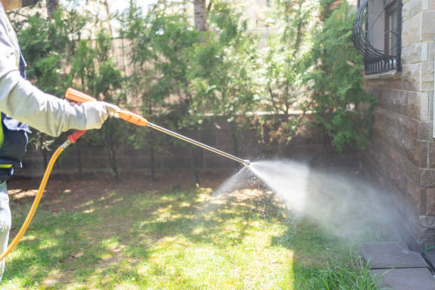 Best Termite Control Services  in Carrollton, VA