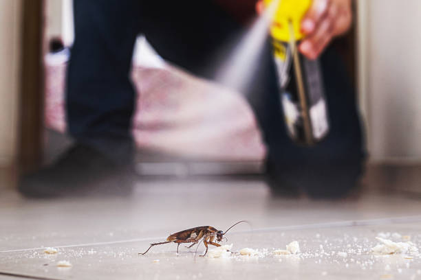 Best Bed Bug Extermination  in Carrollton, VA