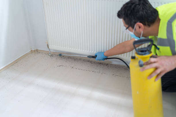 Best Affordable Pest Control Services  in Carrollton, VA