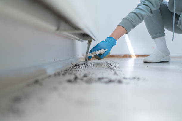 Bird Control in Carrollton, VA