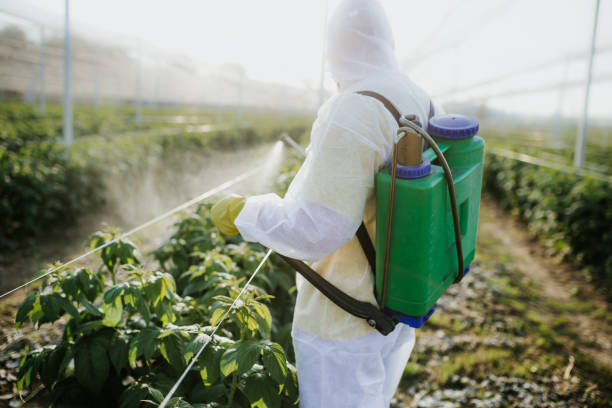 Best Pest Control Near Me  in Carrollton, VA